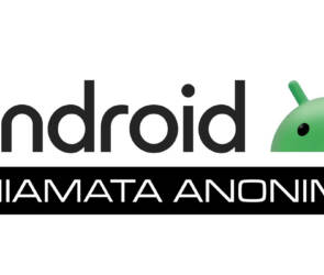 Chiamata anonima con smartphone Android